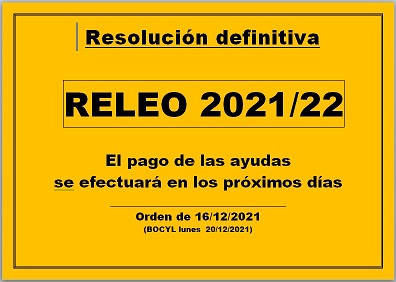 RELEO 21/22 resolución definitiva ayudas dinerarias